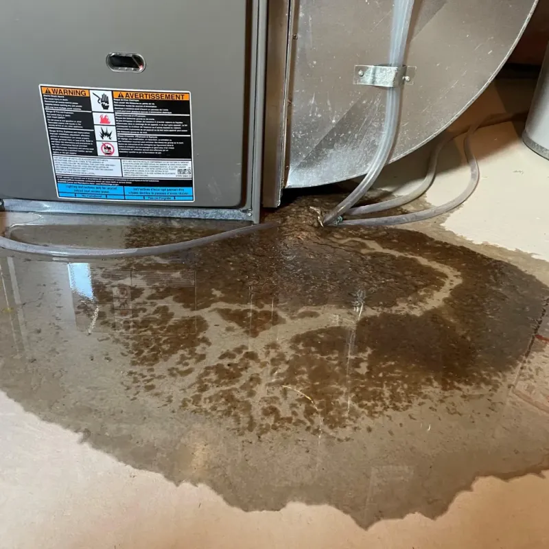 Appliance Leak Cleanup in Crow Agency, MT